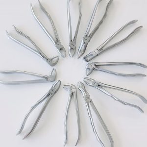 Extracting Forceps British/ European / Ergonomic Handle