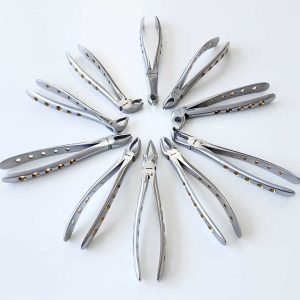 Extracting Forceps British/ European / Handle with Gold Hole