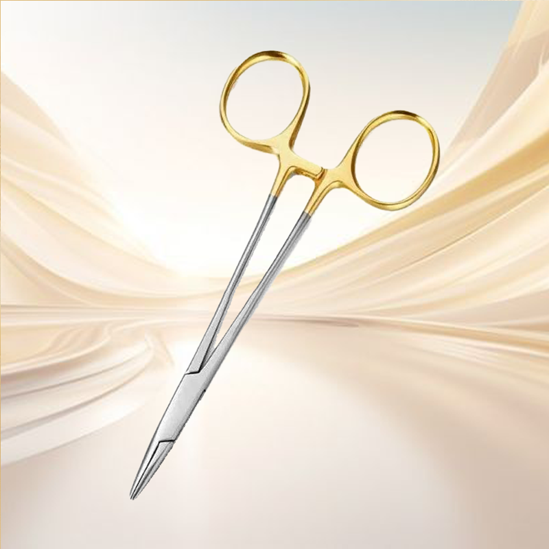 Needle Holder / Webster / Gold